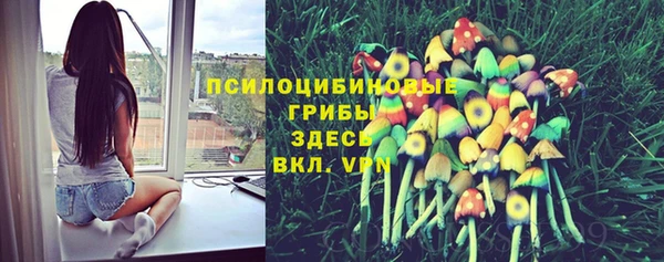 герыч Пересвет