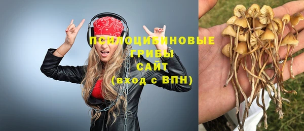 мескалин Переславль-Залесский